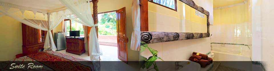 Suite Room
