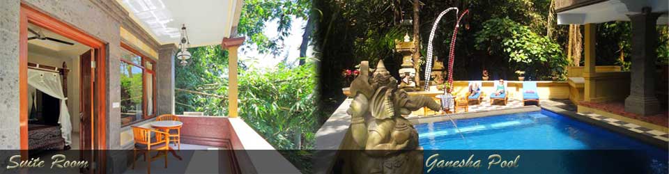 Suite Room - Ganesha Pool